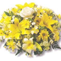Pretty yellow posy