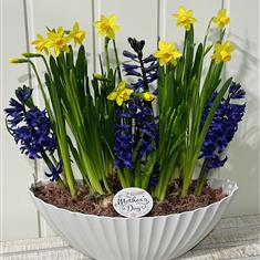 Mothers day scented spring garden