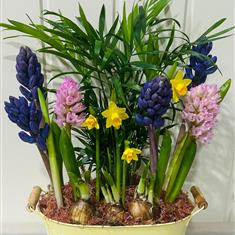 Cheerful spring planter 
